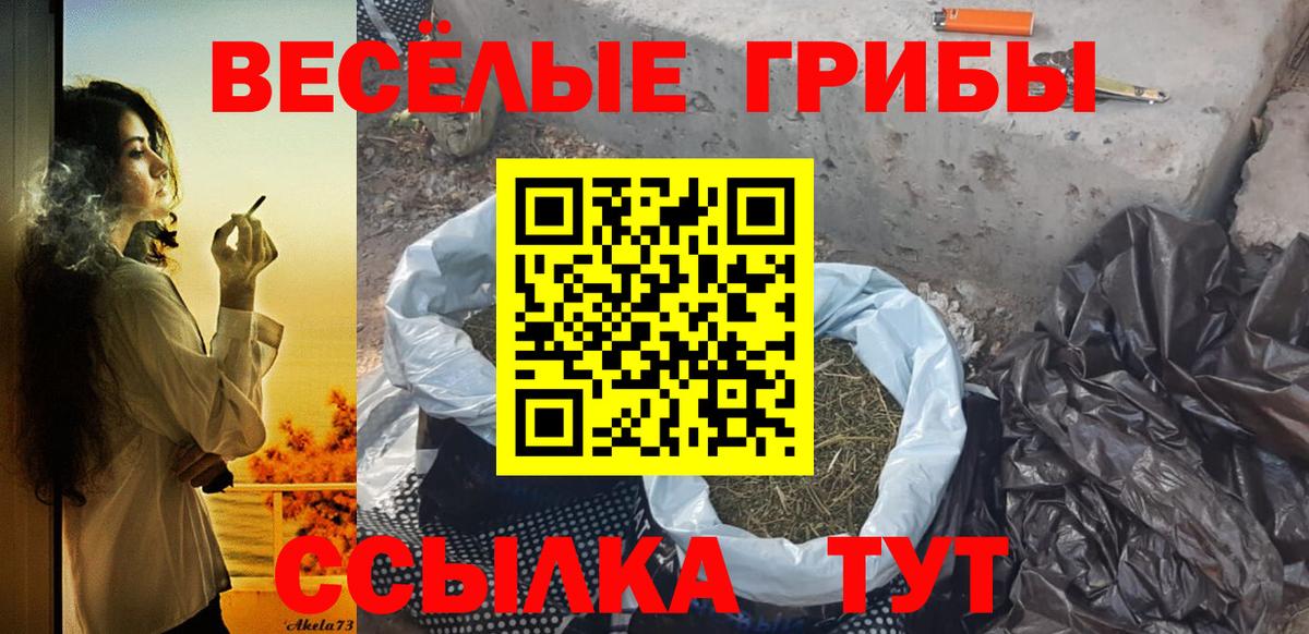 Галлюциногенные грибы прущие грибы  Вход с VPN  Дмитров 